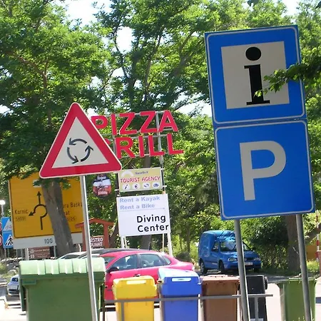 Perkovic Jadranka *