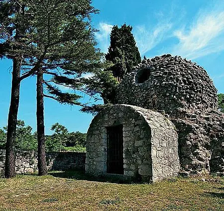 Perkovic Jadranka *