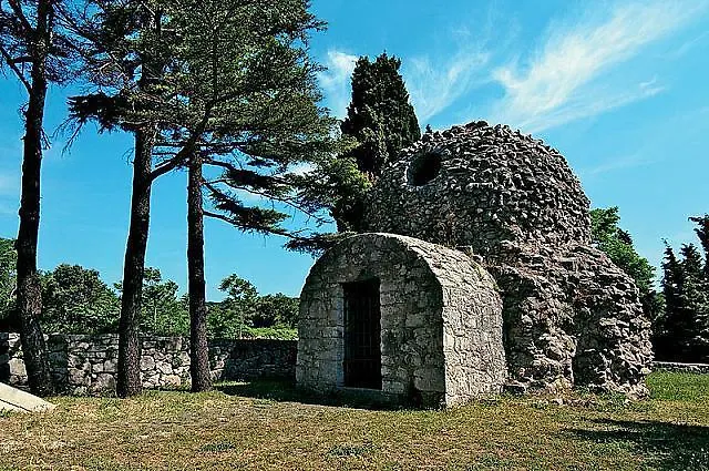 Perkovic Jadranka *